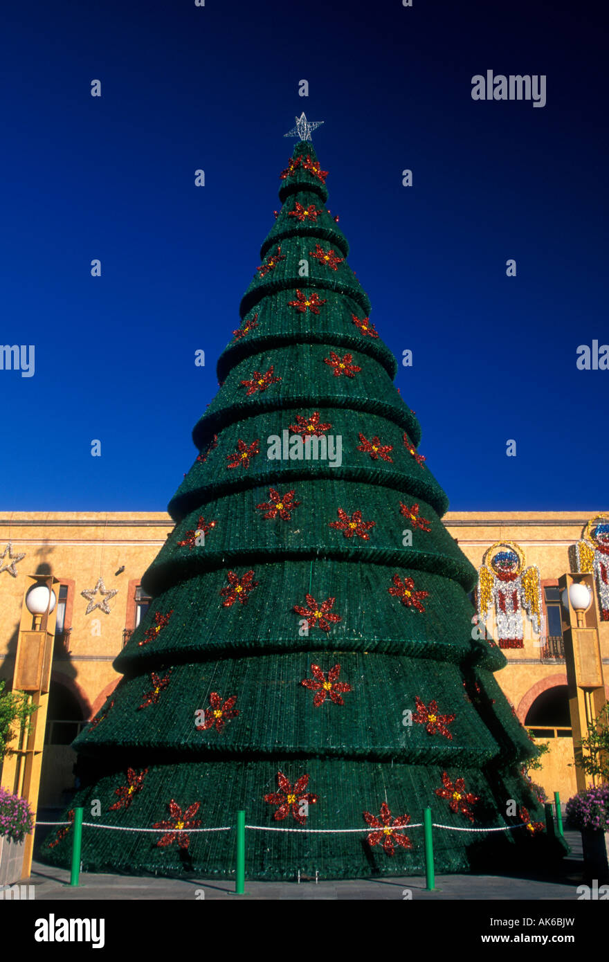 Christmas tree, Plaza de la Constitucion, Constitution Square, Santiago