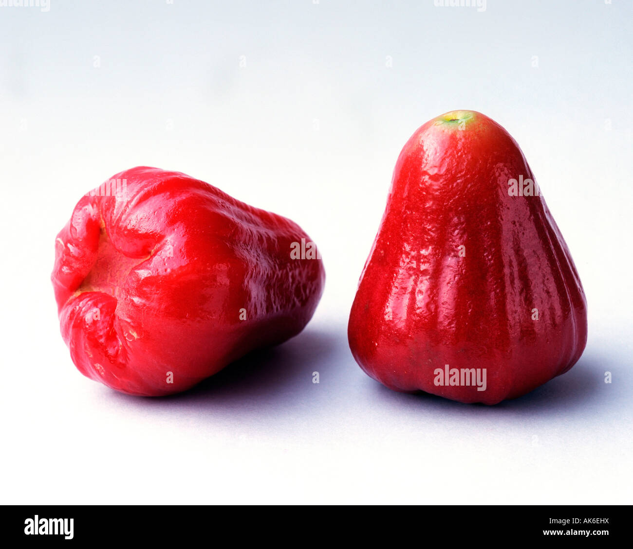 Water Apple Stock Photo Alamy