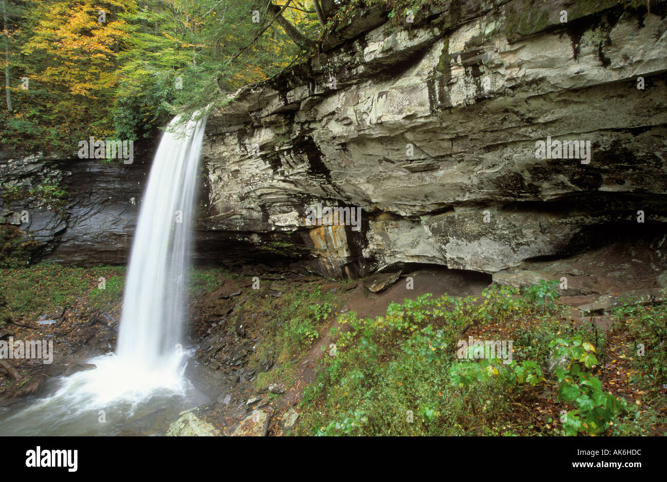 Hills Creek Fall Pocahontas County West Virginia Stock Photo Alamy