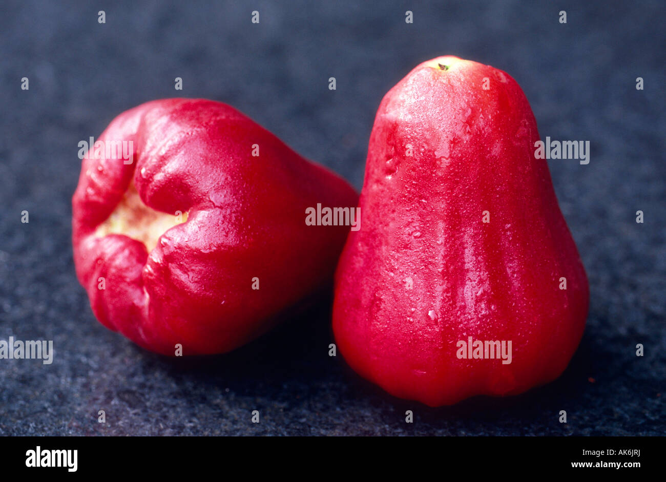 Water Apple Stock Photo Alamy