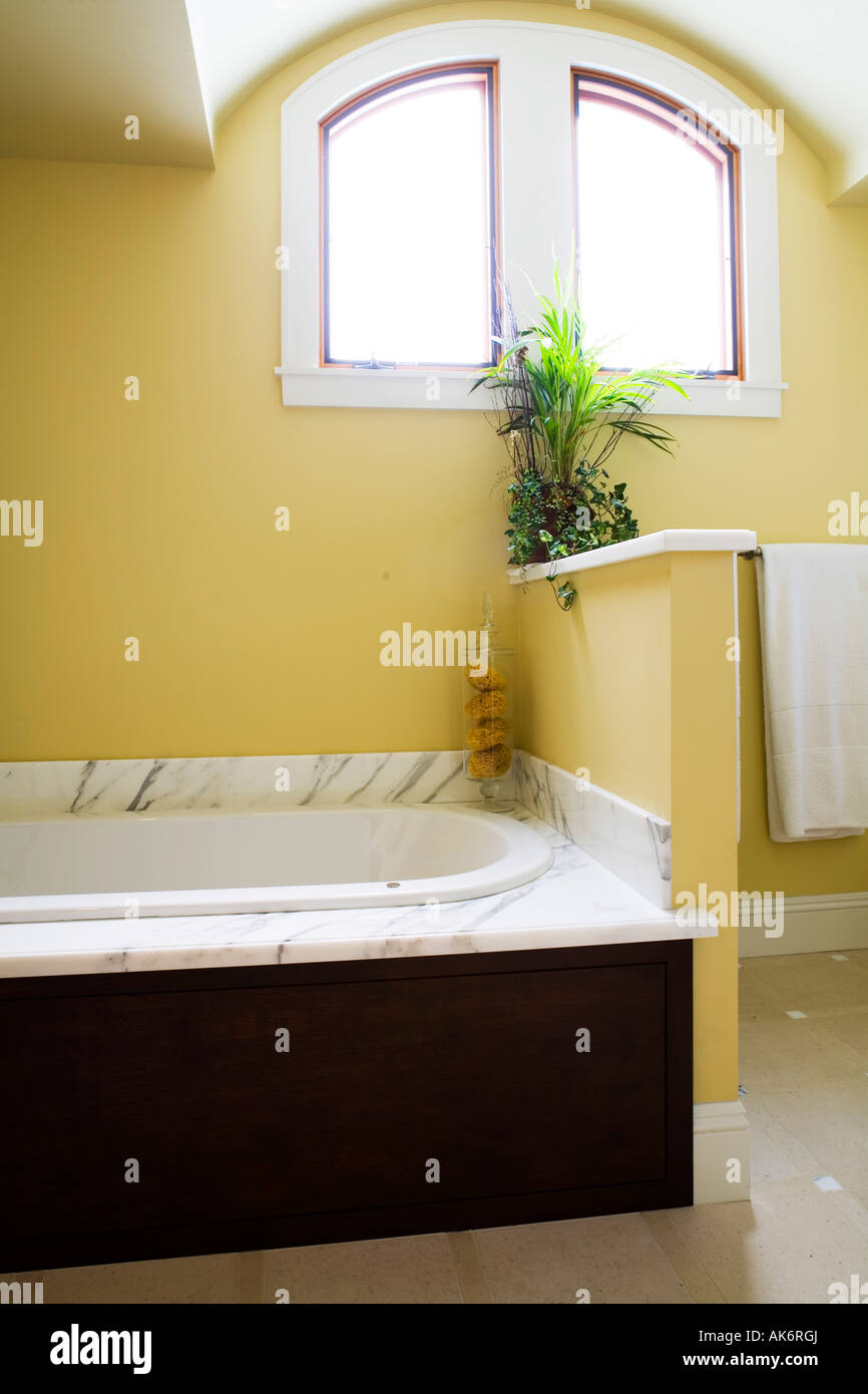 Marble Jacuzzi in Contemporary Bathroom Stock Photo Alamy