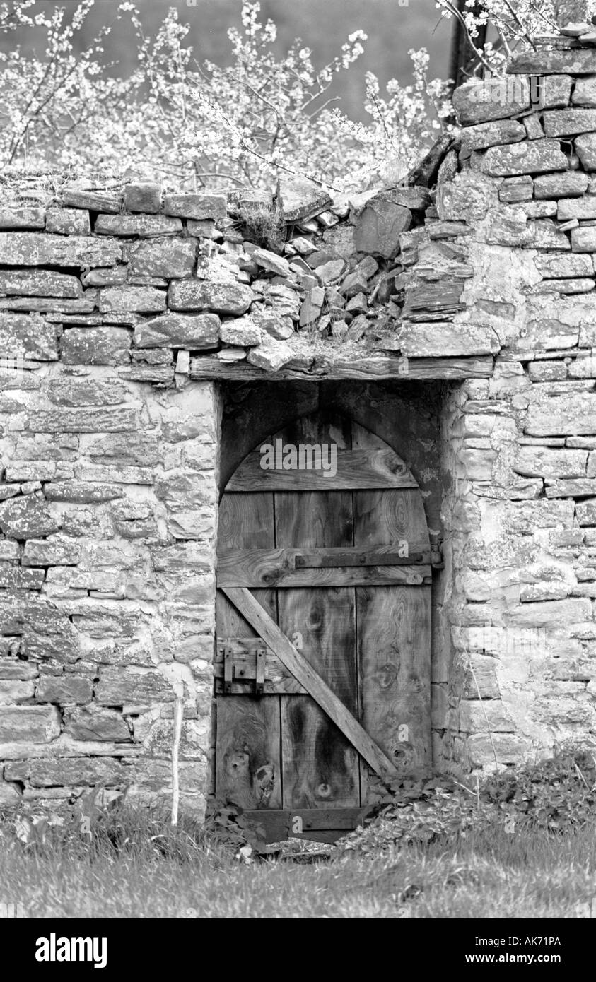 The Orchard Door, Tintern Abbey Stock Photo