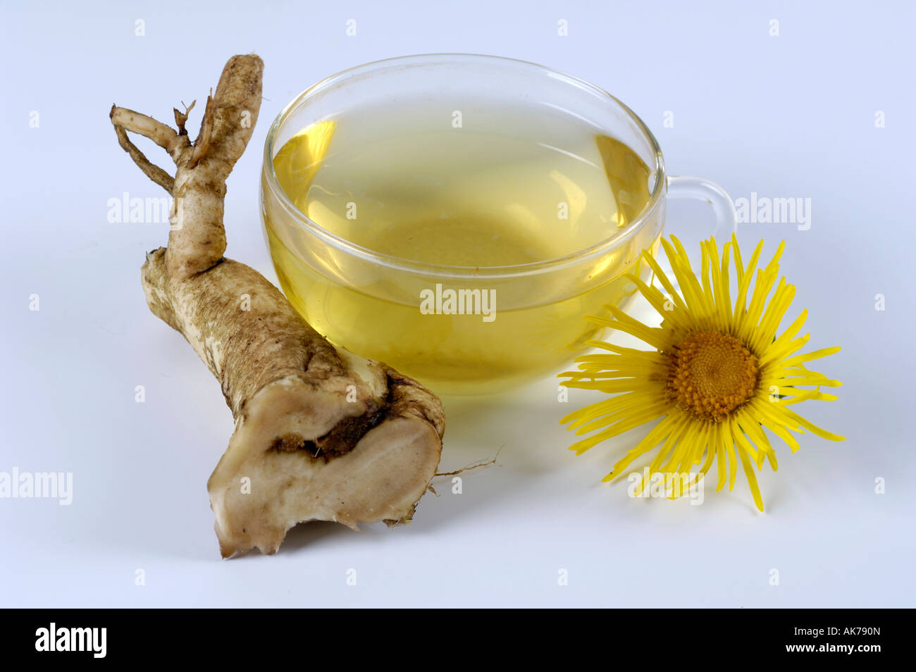 Семена подсолнечника польза. Корень подсолнечника лечебные. Семечки от гипертонии. Корень подсолнуха. Подсолнухи маслом.