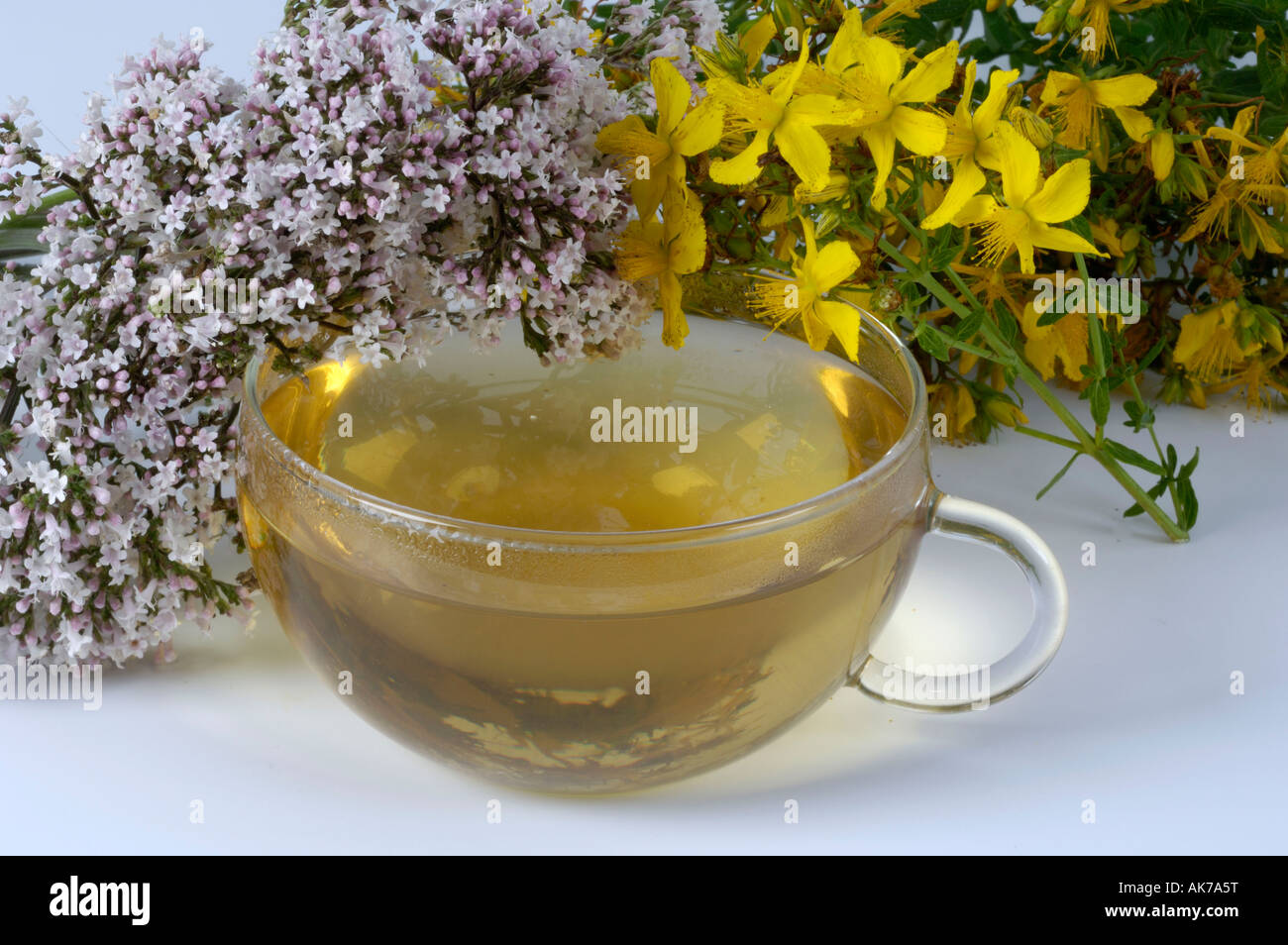 Tea with Valerian and St. John's Wort Stock Photo Alamy
