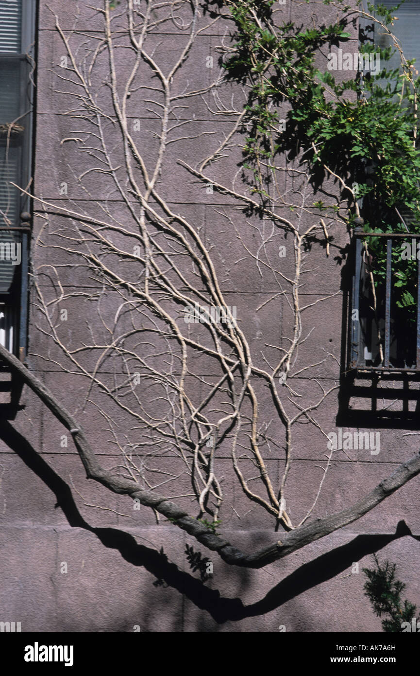 East Village NY Brownstone Stock Photo Alamy
