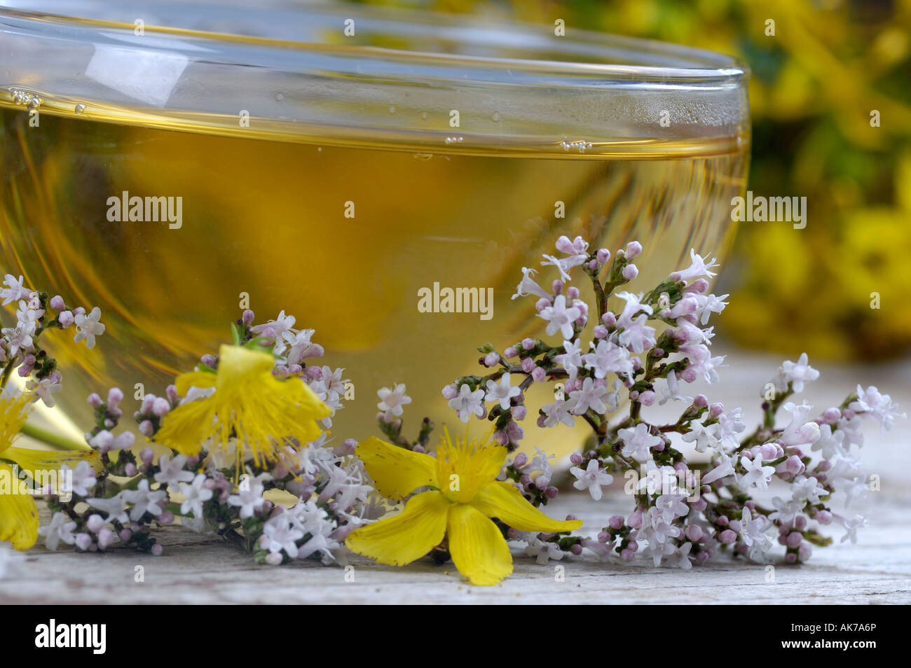 Tea with Valerian and St. John's Wort Stock Photo Alamy