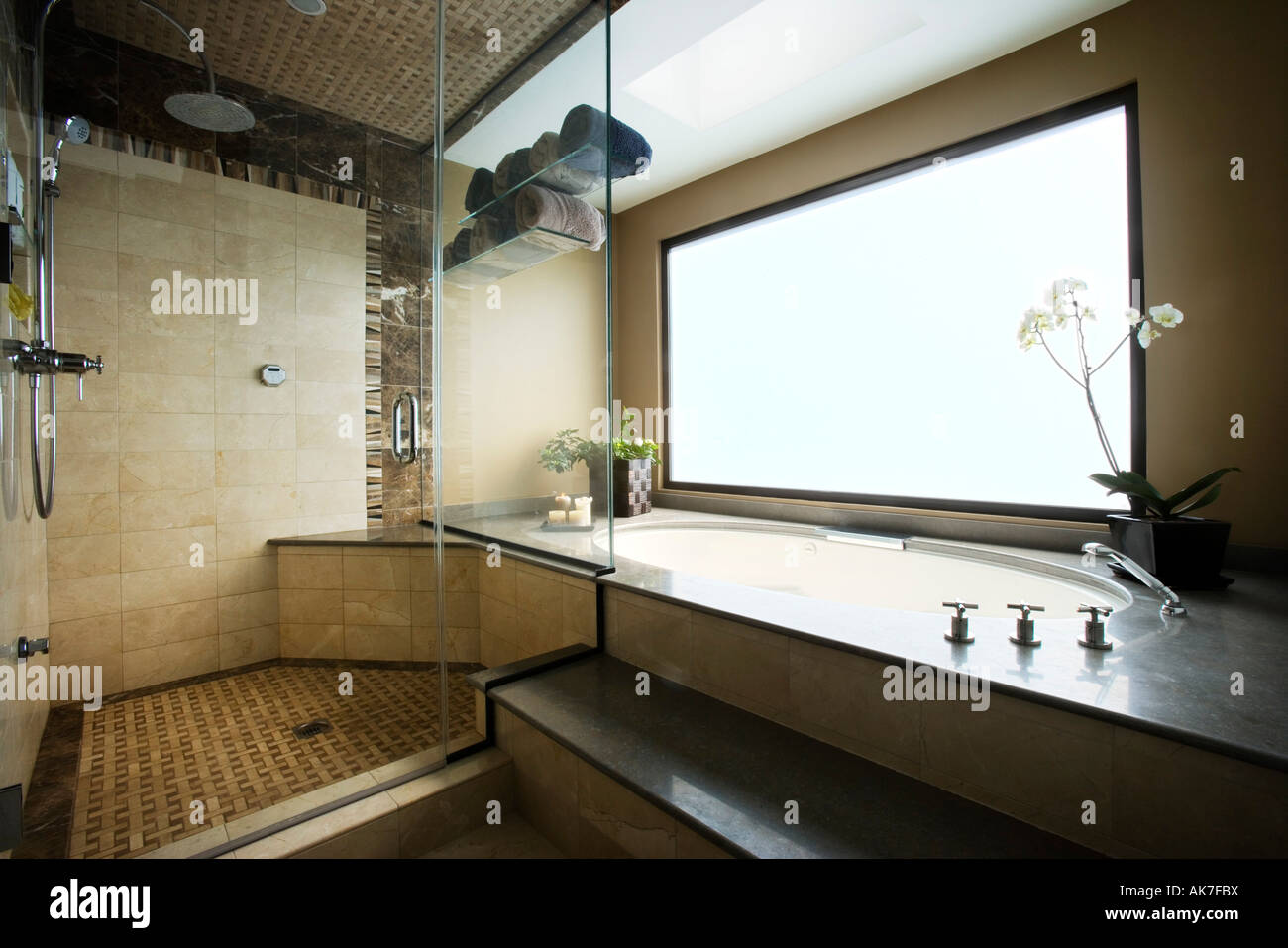 Modern Bathroom with Jacuzzi and Shower Stock Photo Alamy