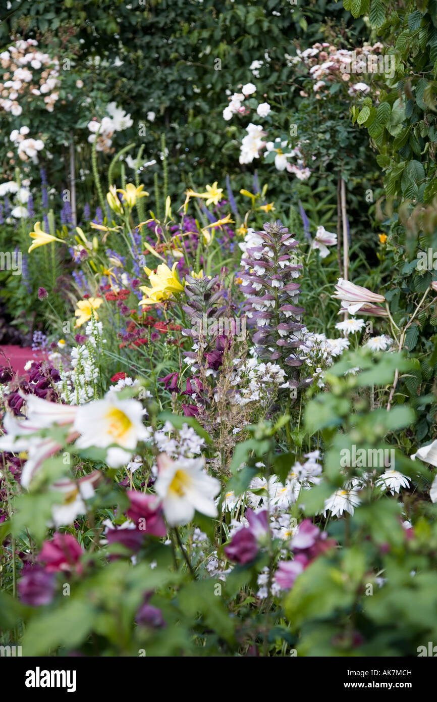 Flower border in Centrepoint Garden at Hampton Court Flower show designed by Claire Whitehouse Stock Photo