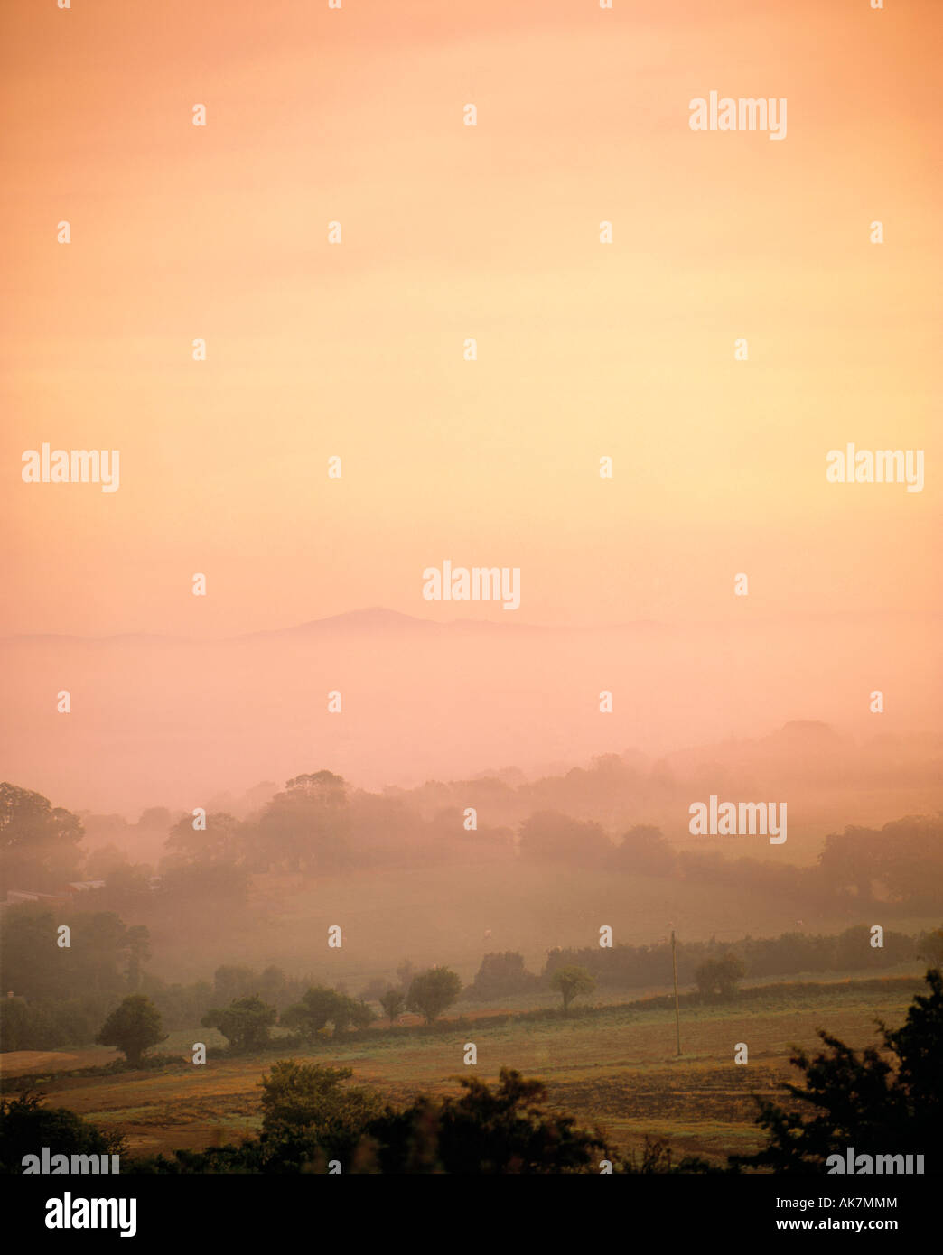 Misty Pastoral Scene, Co Wexford, Ireland Stock Photo