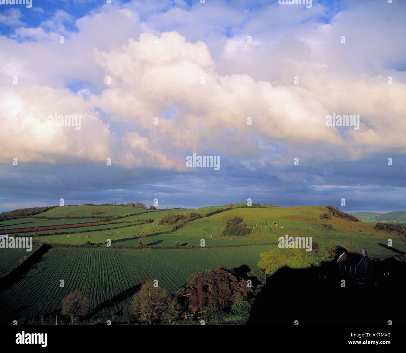 Fields around Dunamace, Co Laois, Ireland Stock Photo