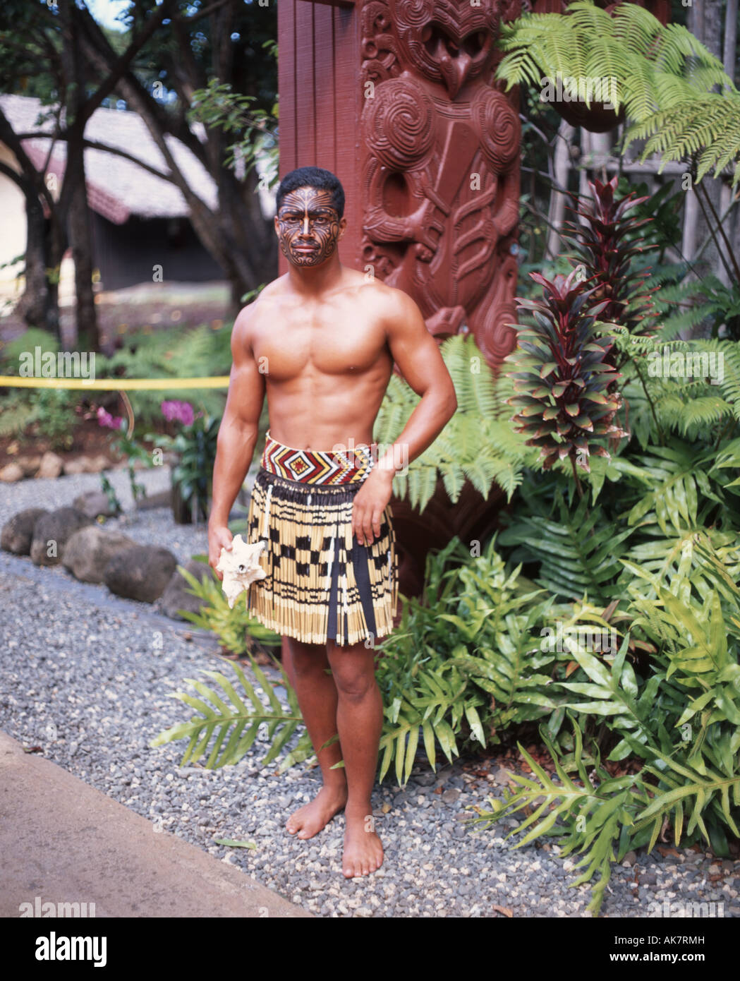 Maori man in piupiu (flax skirt), Whakarewarewa Thermal Reserve, Rotorua, Bay of Plenty, New Maori man in piupiu (flax skirt), Whakarewarewa Thermal Reserve, Rotorua, Bay of Plenty, New