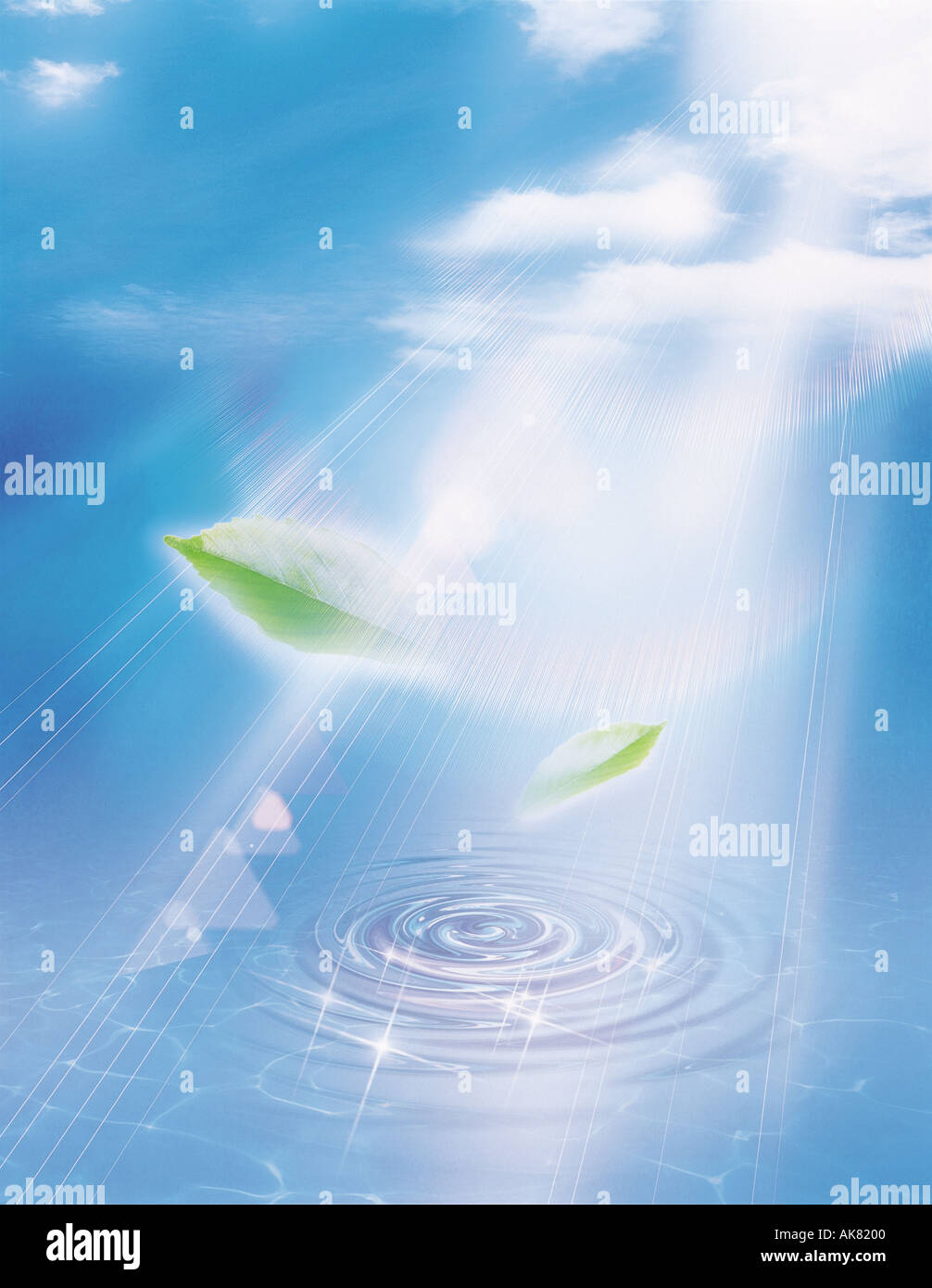 Light leaves water ripple Stock Photo - Alamy