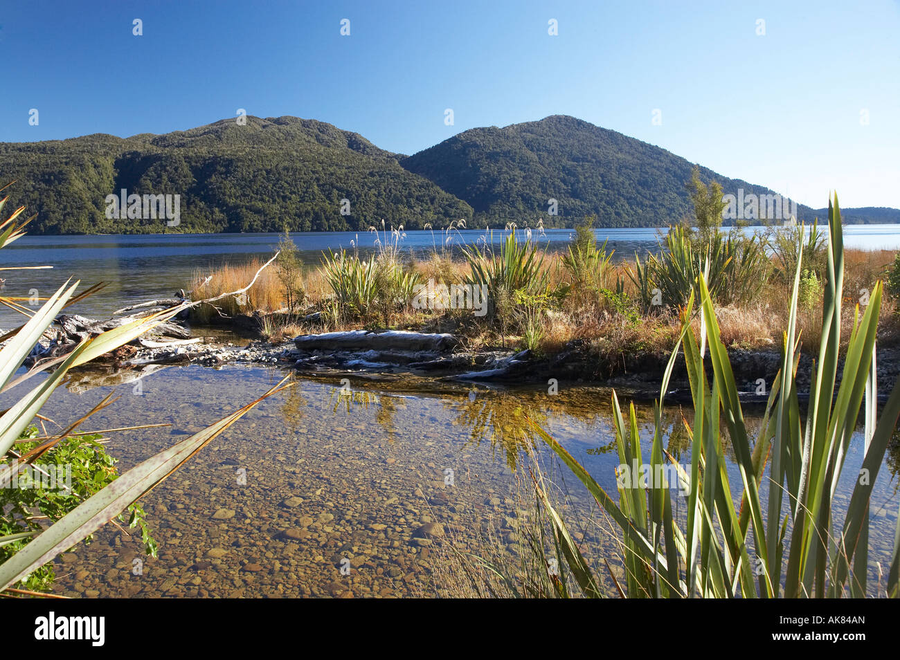 Dorothy Creek Big Bay Lake Kaniere West Coast South Island New Zealand Stock Photo