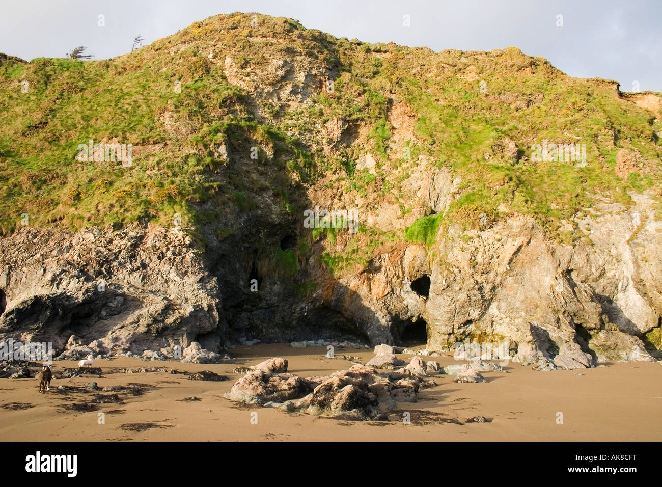 Exploratory Mining Galleries in Rocks, Lady's Cove, Copper Coast, Co Waterford, Ireland Stock Photo