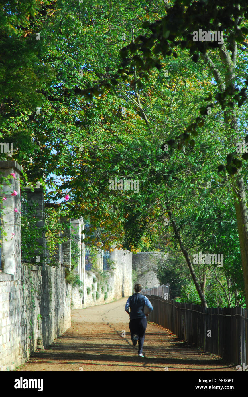 OXFORD Dead Man's Walk in Christ Church Meadow by Merton College Stock