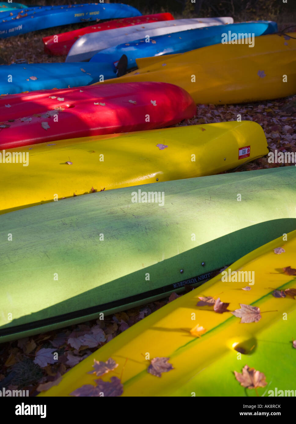 Hulls of kayaks and canoes covered with leaves Stock Photo Alamy