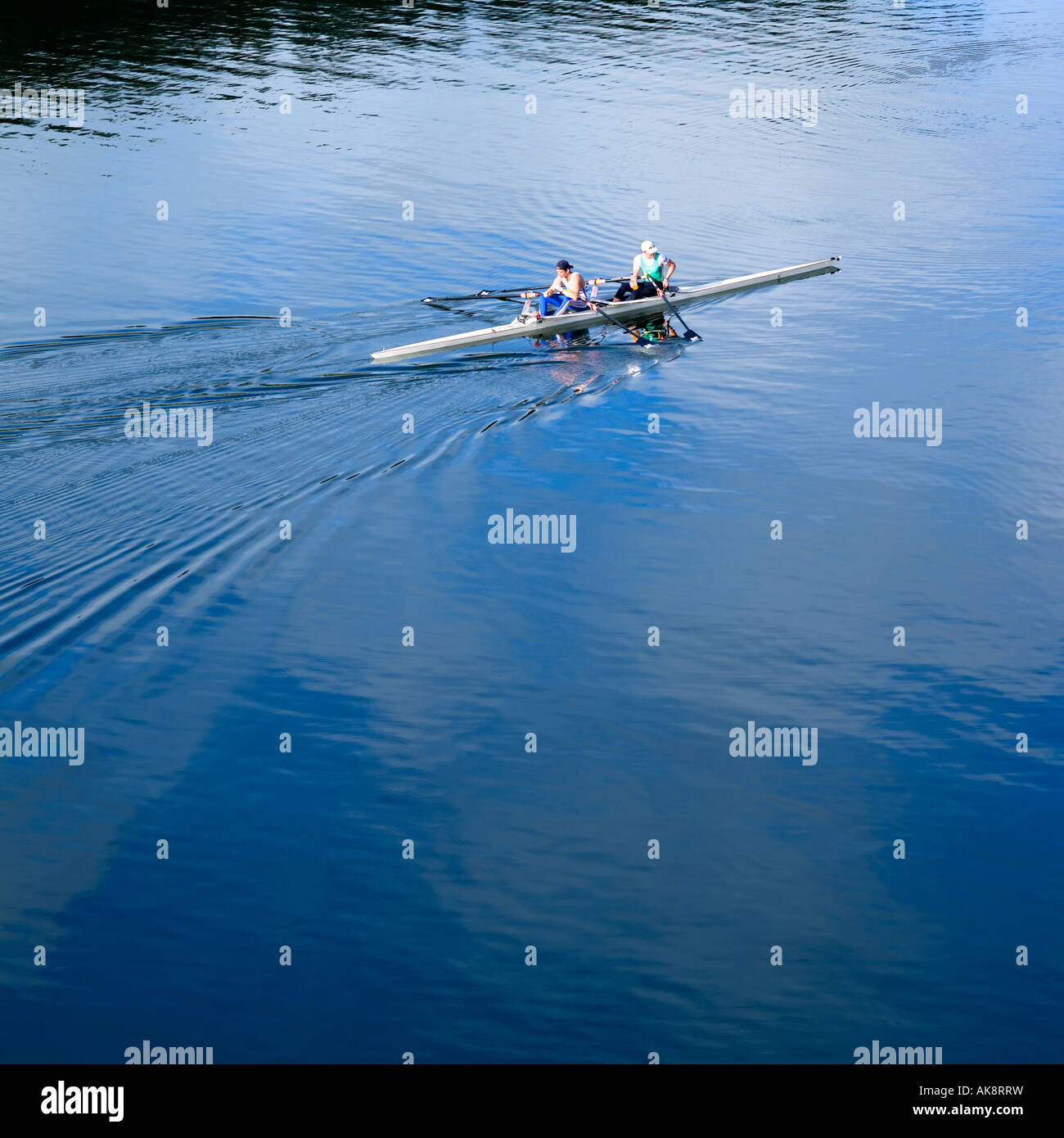 Rowing training on the Waikato River Stock Photo