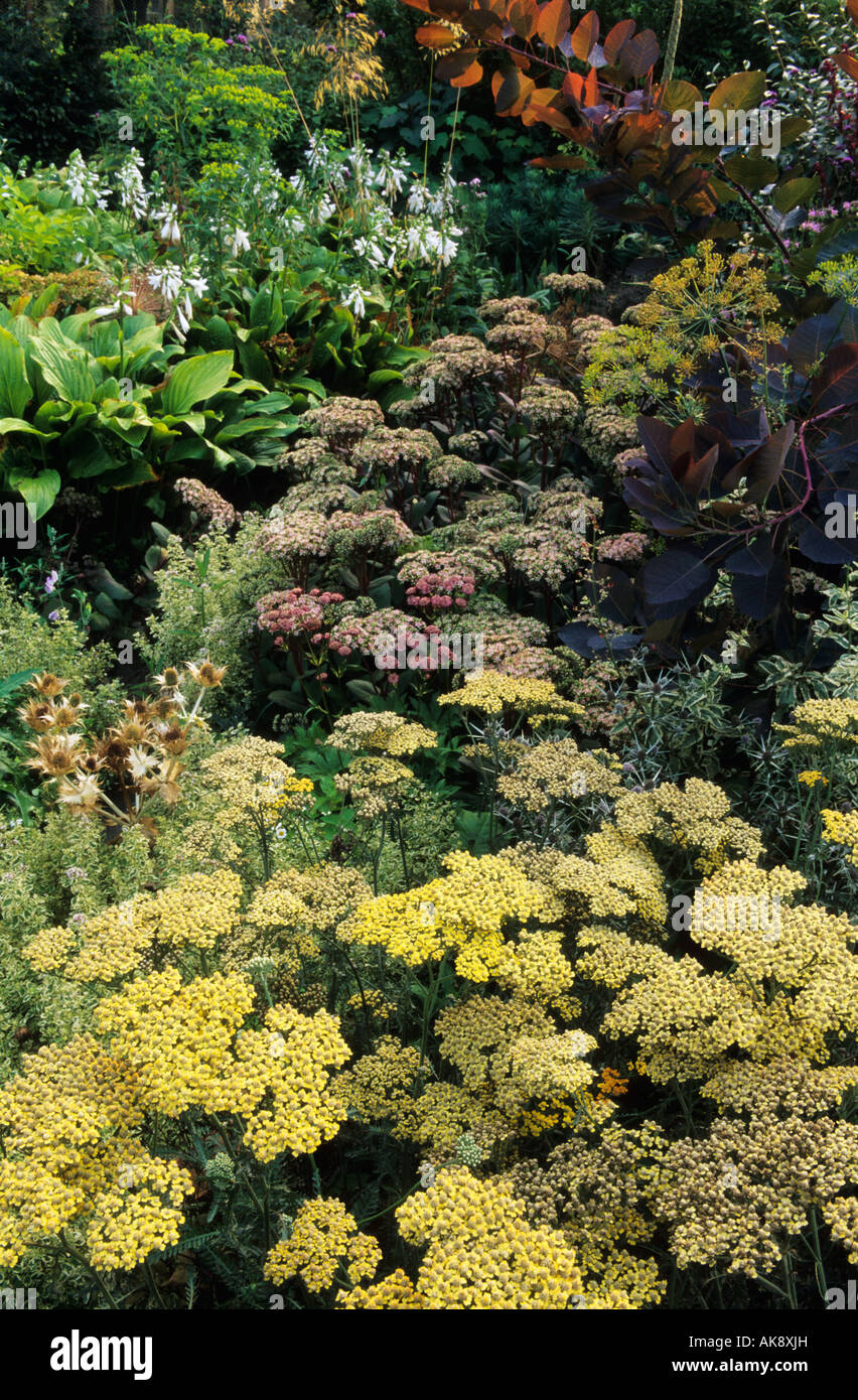 Foliage Perennials High Resolution Stock Photography and Images - Alamy