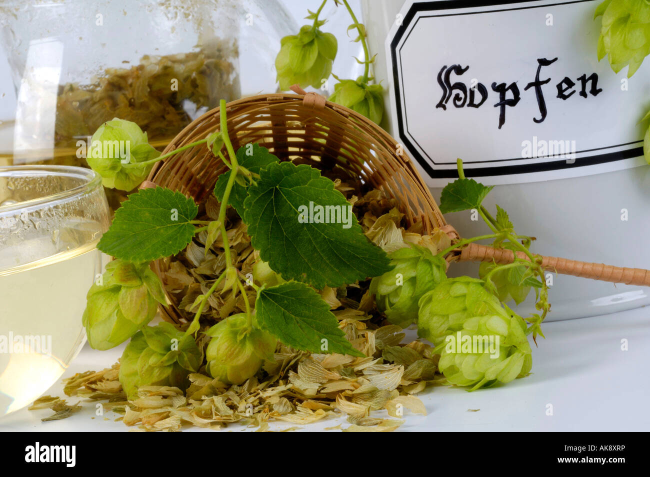 Hop Tea Light Hop tea hi-res stock photography and images - Alamy