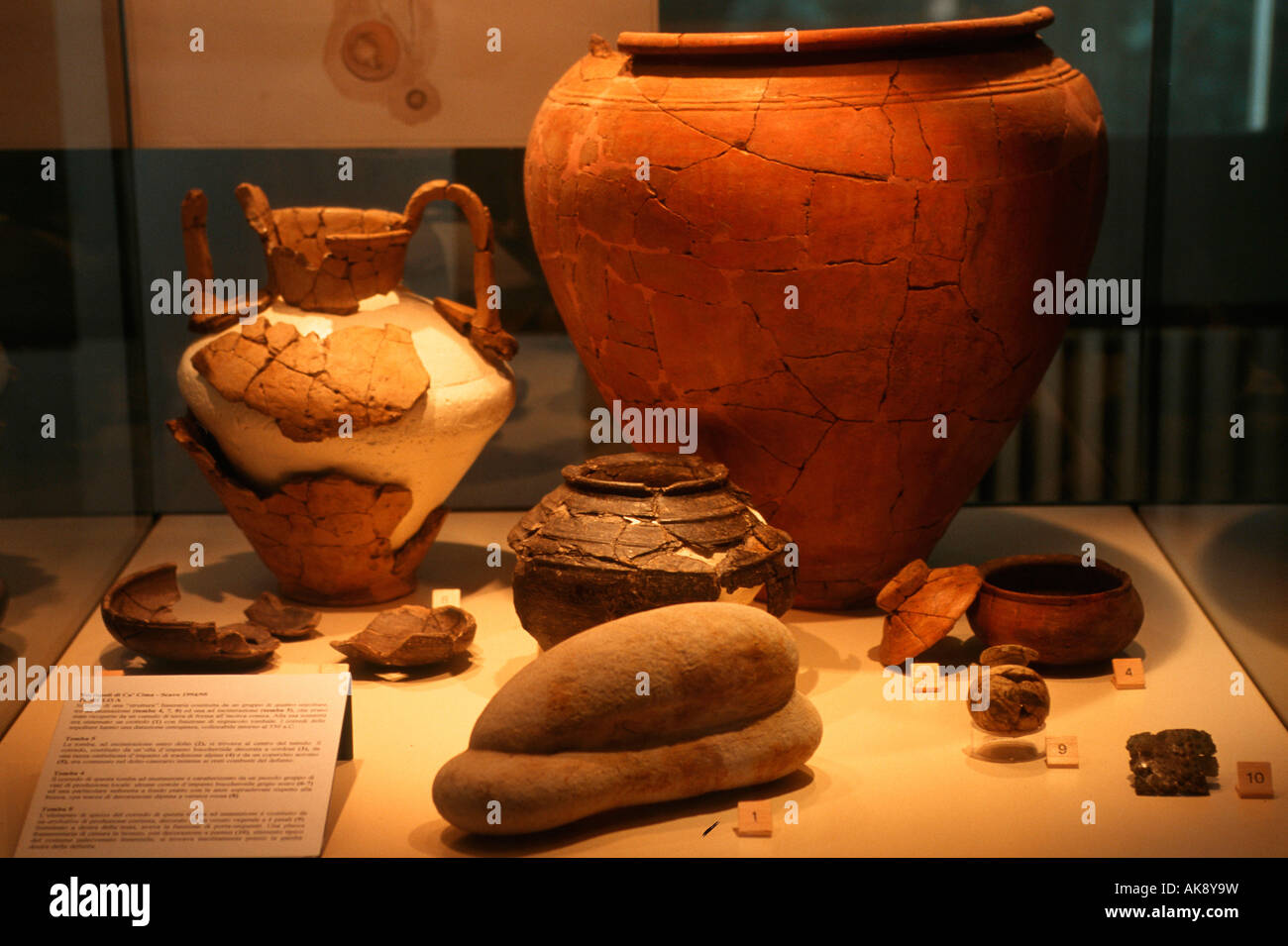 Archaeological museum / Adria Stock Photo