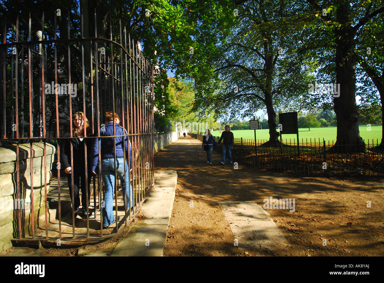 OXFORD Dead Man's Walk in Christ Church Meadow by Merton College Stock
