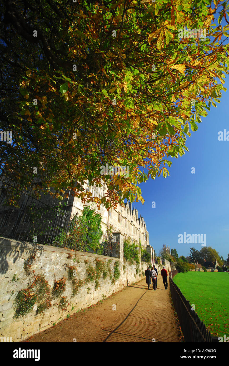 OXFORD Dead Man's Walk in Christ Church Meadow by Merton College Stock