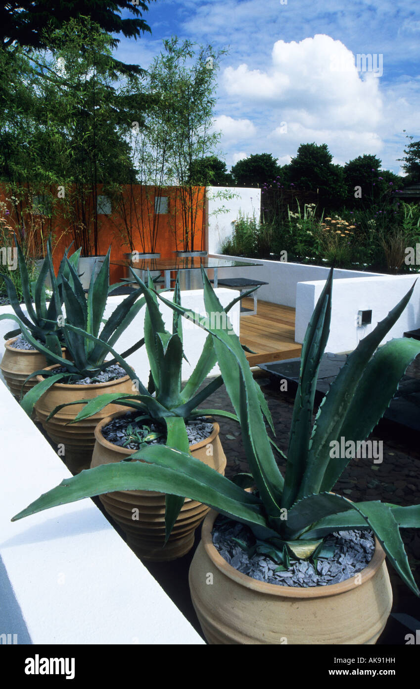 Contemporary Modern Patio Garden With Drought Tolerant Agaves In