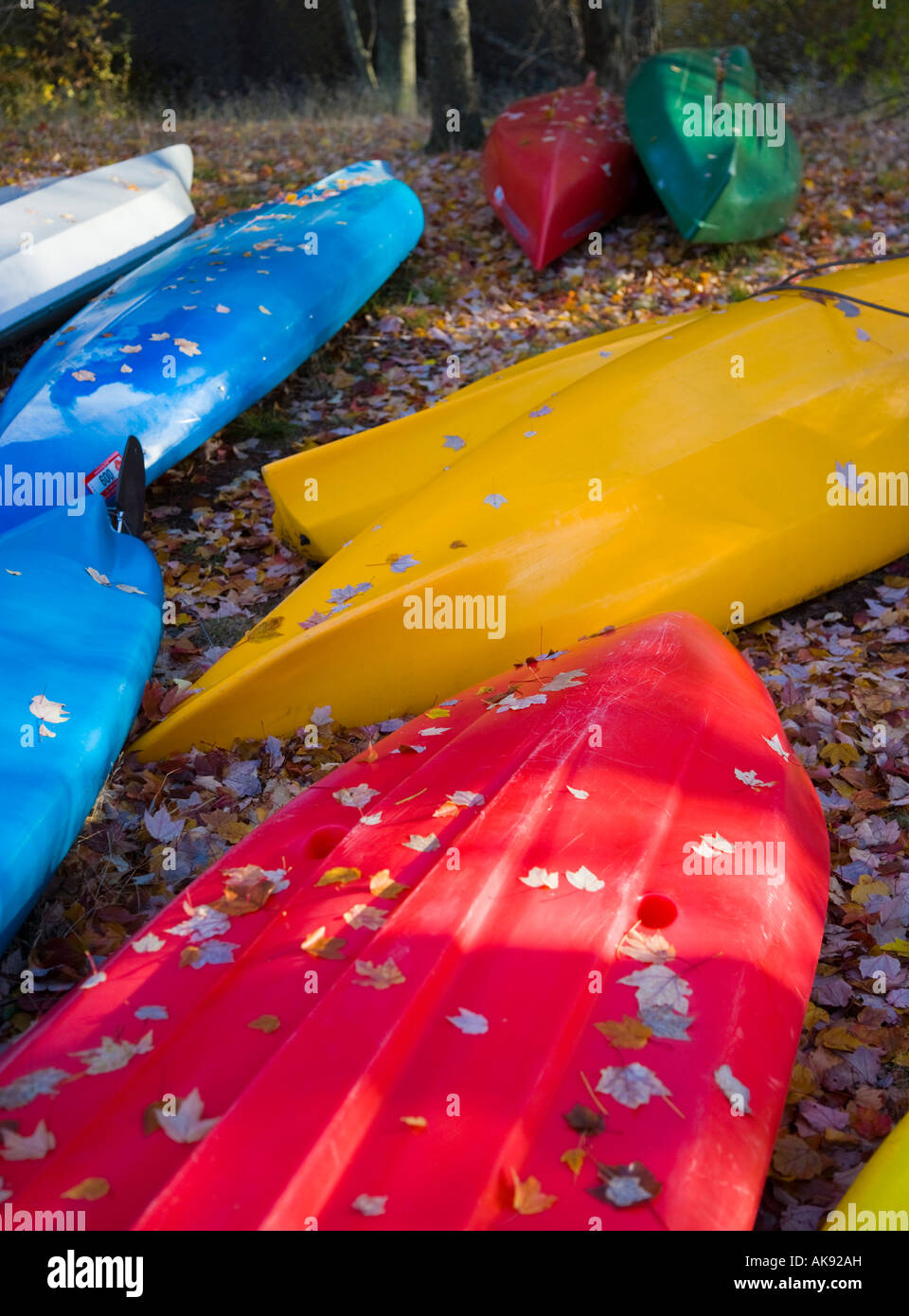 Hulls of kayaks and canoes covered with leaves Stock Photo Alamy