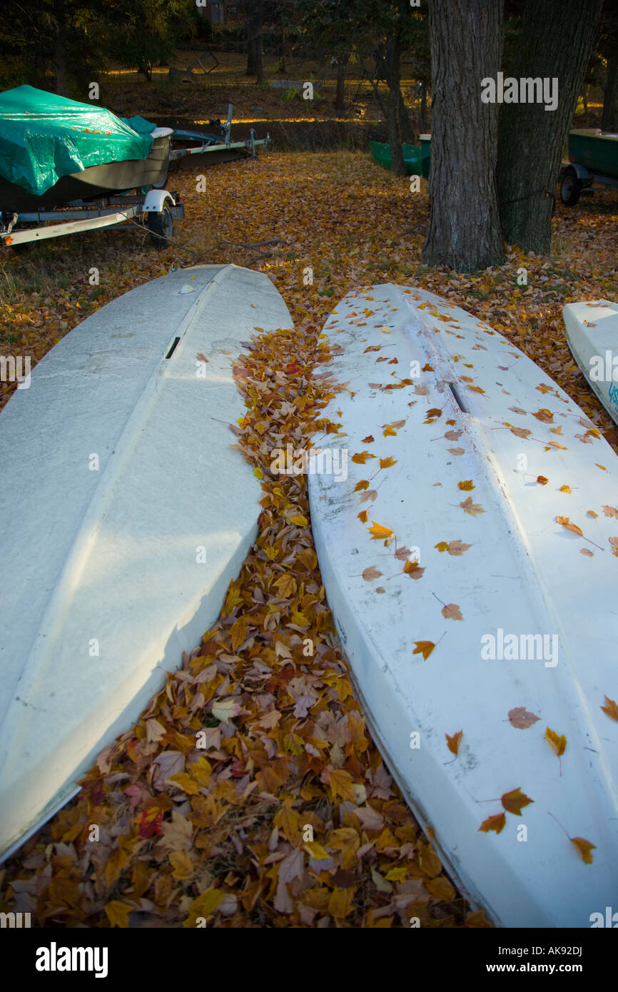 Hulls of kayaks covered with leaves Stock Photo Alamy