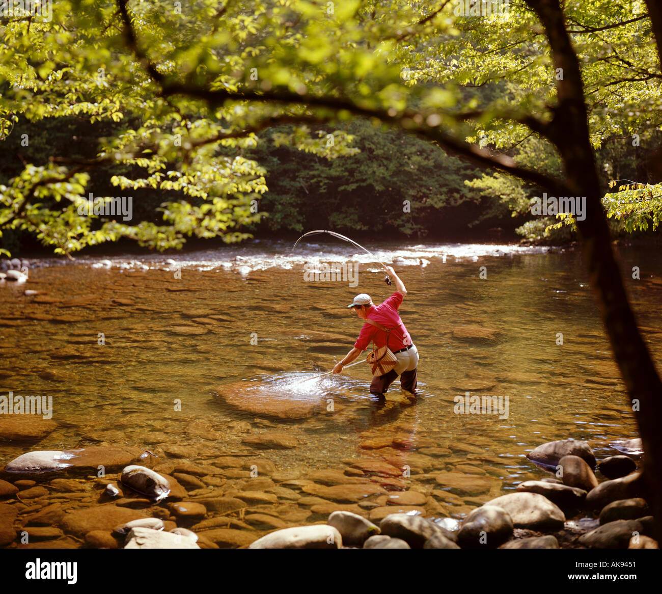 man fishing in Little Pigeon River near Gatlinburg Tennessee USA Stock Photo