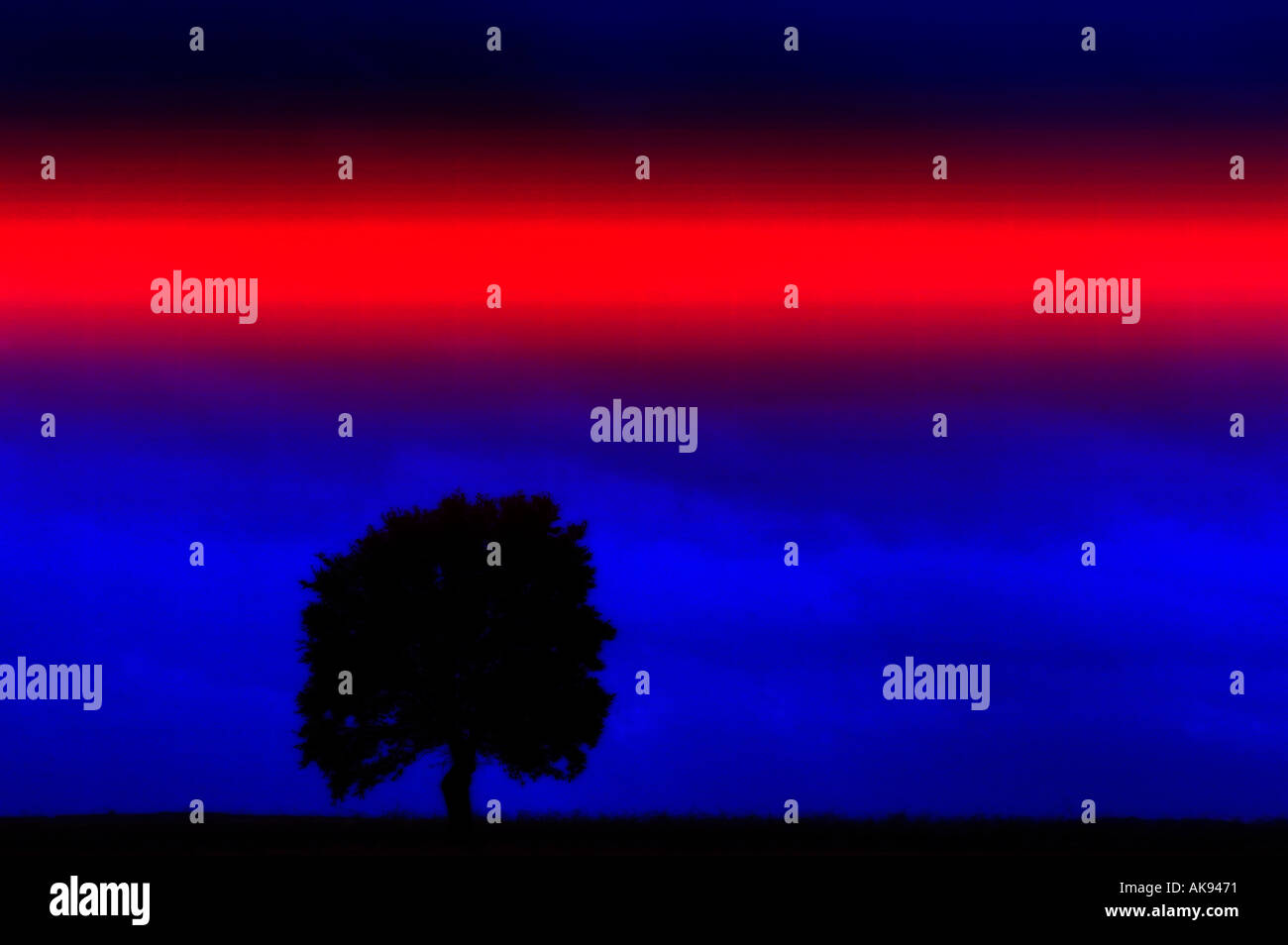 tree in landscape Stock Photo - Alamy