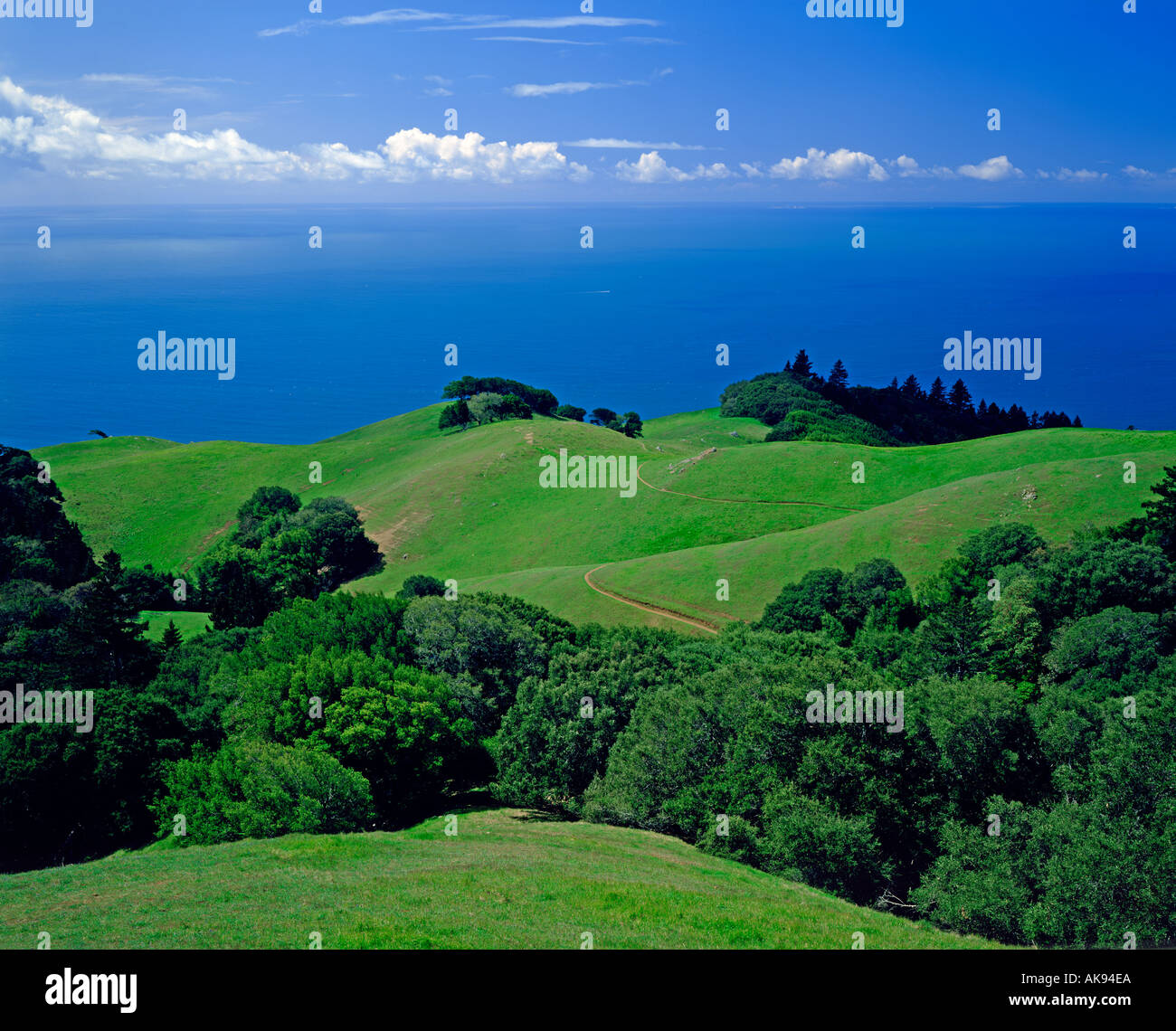 Mt Tamalpais State Park in Marin County California USA Stock Photo