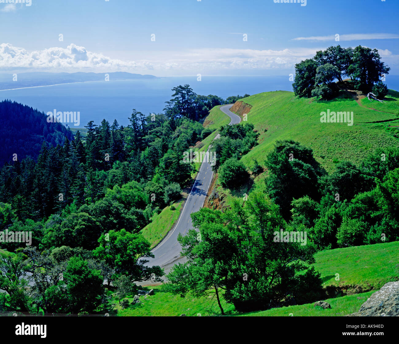 Mt Tamalpais State Park in Marin County California USA Stock Photo
