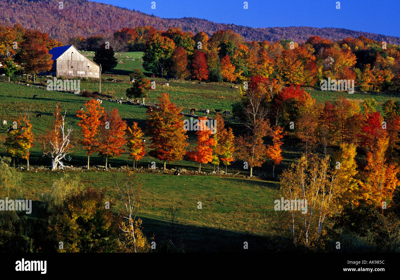 Farm house in Warren Vermont Stock Photo Alamy