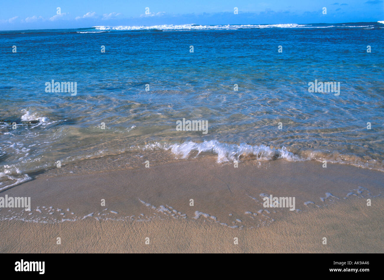 Beach scene in Hawaii Stock Photo - Alamy