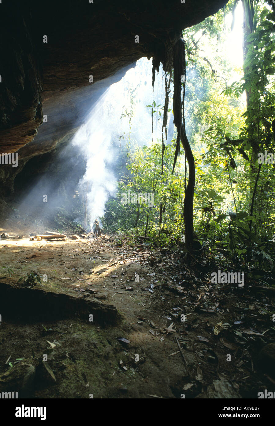 Cave in the rainforest Stock Photo Alamy