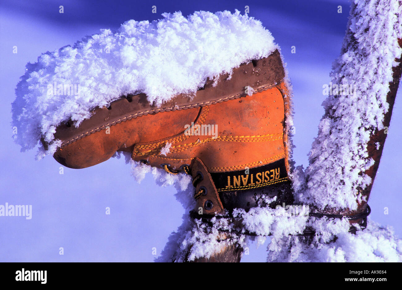 Boot covered with snow in winter, Swabian Alb, Germany Stock Photo