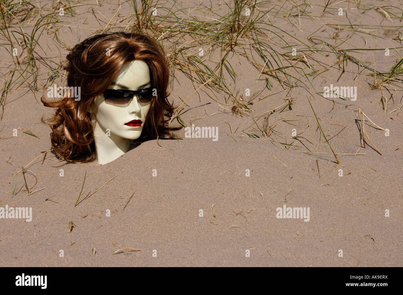 Bury the head in the sand hires stock photography and images Alamy