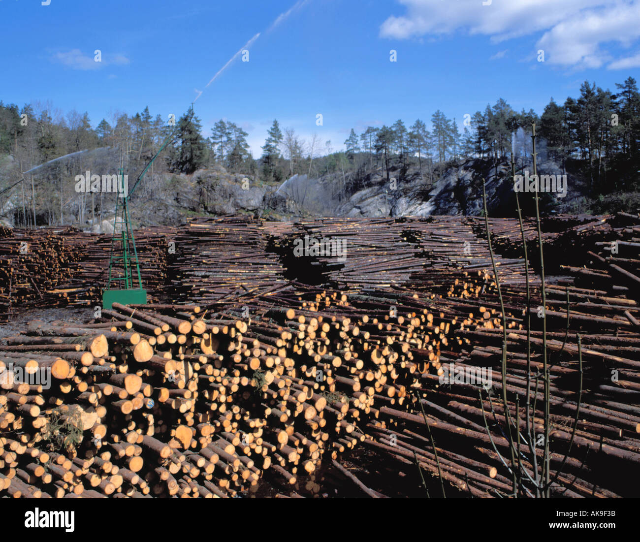 Stock piled logs being sprayed with water at a timber processing plant, Vadfoss, near Kragerø, Telemark, Norway. Stock Photo