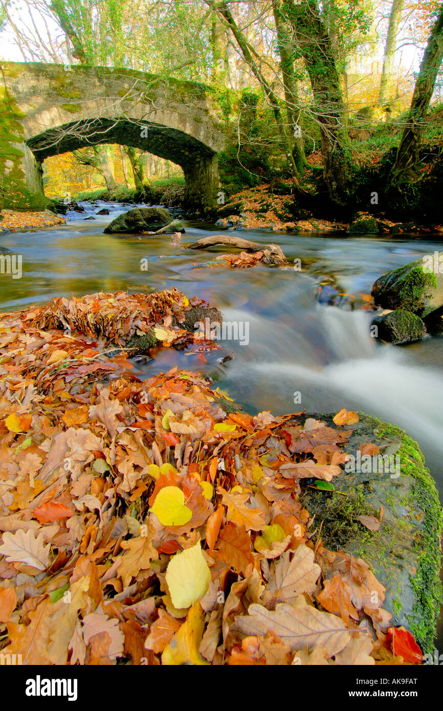 East Dart River on Dartmoor Devon flowing through autumnal woodland with a stone bridge crossing Stock Photo