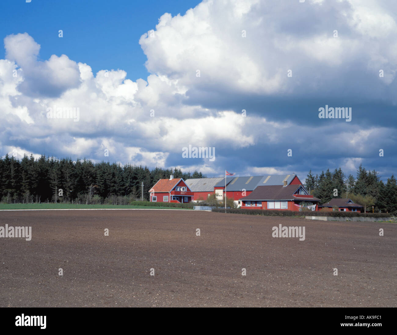 Agricultural scene; Jæren area, Rogaland, Norway. Stock Photo