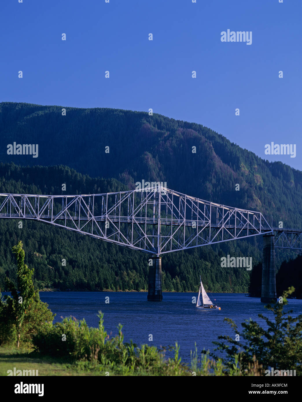 Sailboat on the Columbia River late afternoon going under The Bridge of