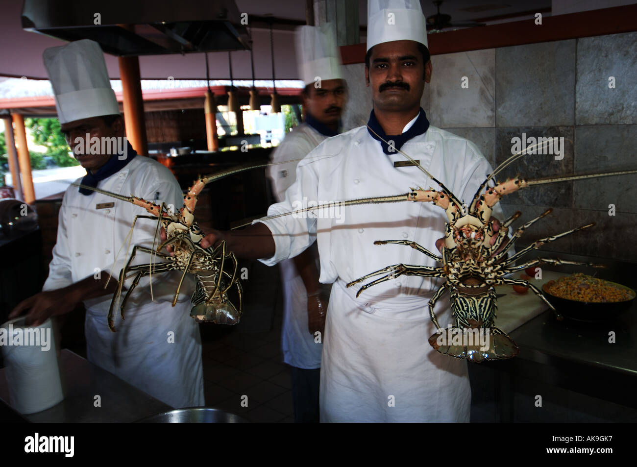 Maldives cook showing lobster Stock Photo