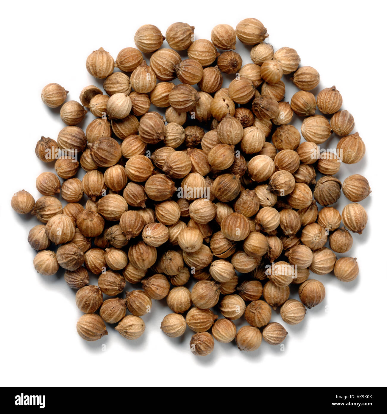 Whole Coriander seeds Stock Photo