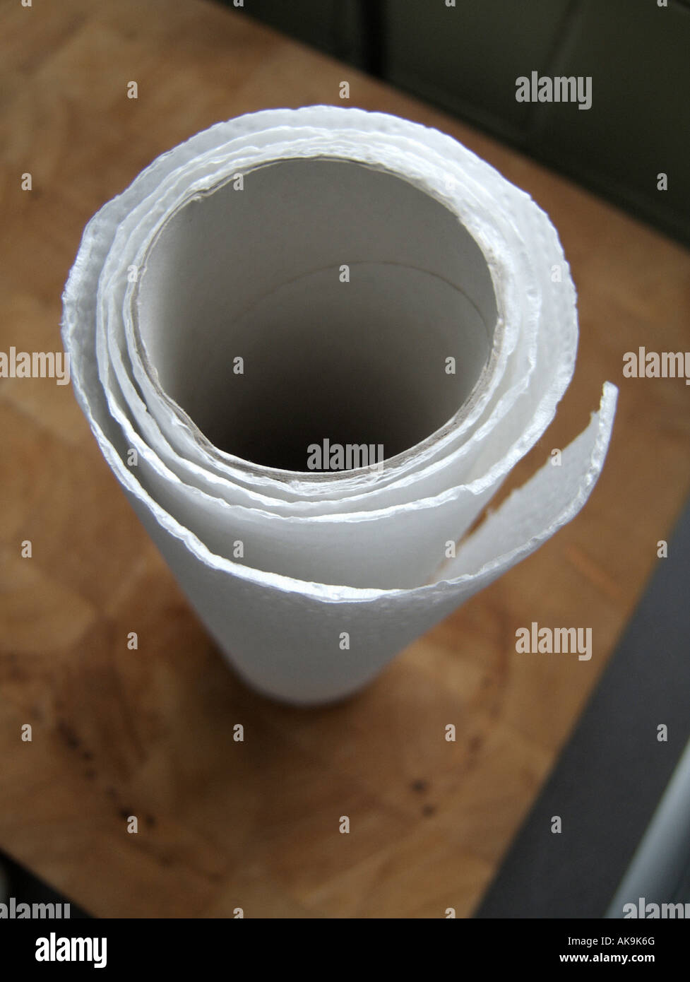 Close up of a kitchen paper roll Stock Photo Alamy