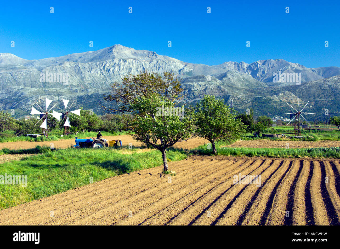 Fields at lasithi plateau hi-res stock photography and images - Alamy