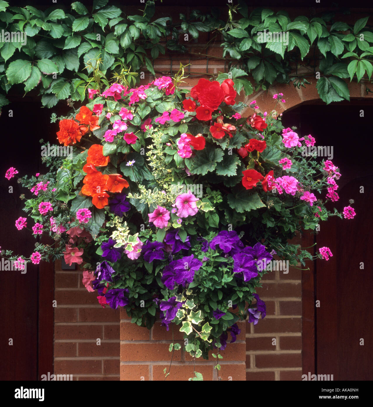 summer flower hanging basket with Lobelia begonia petunnias and foliage