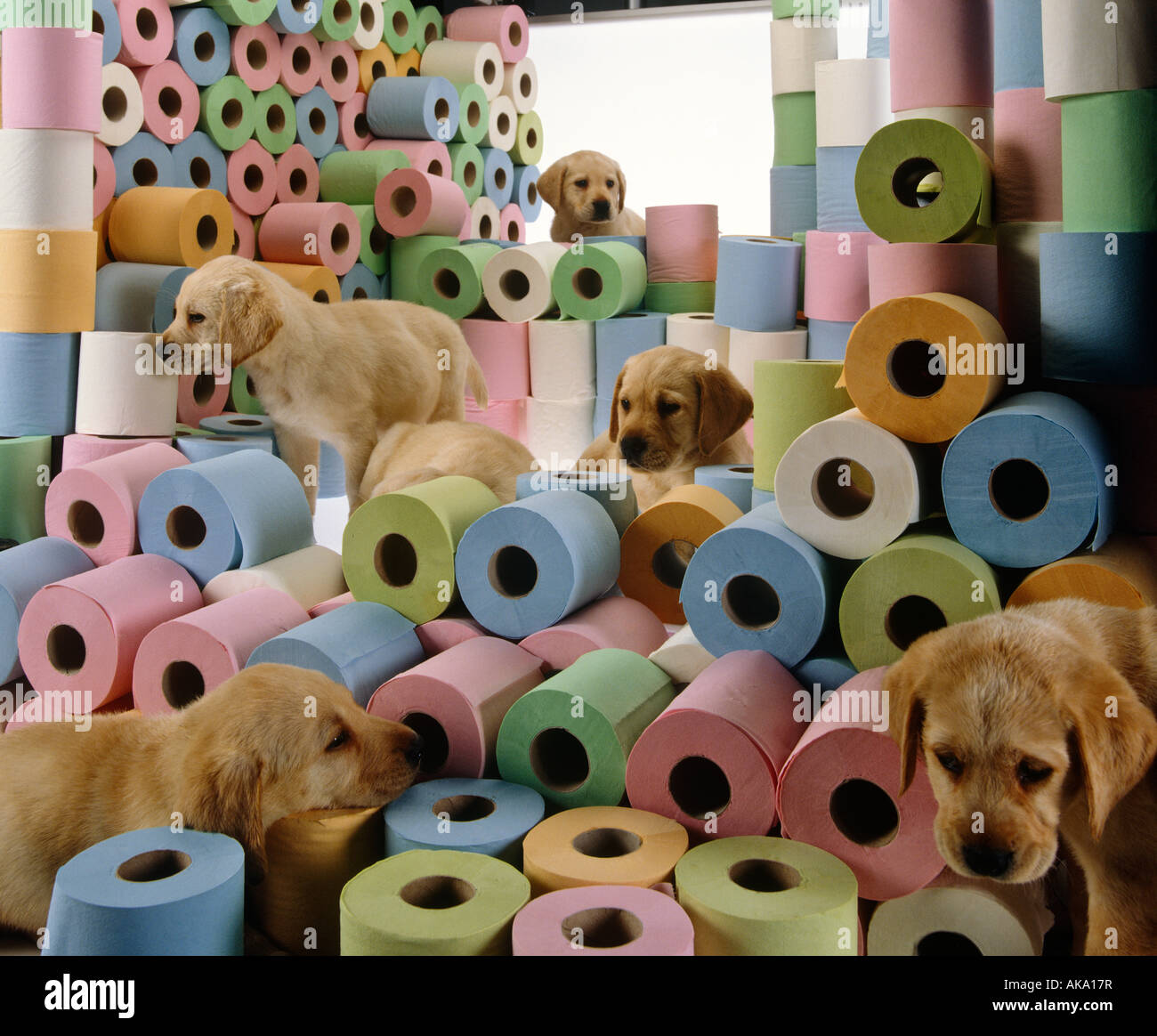 andrex puppy toy 1980s