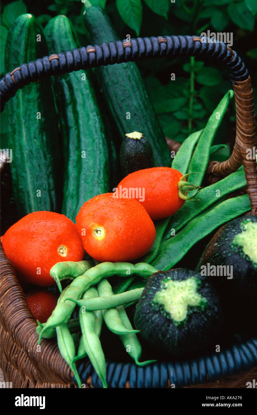 Fresh cut home grown vegetables in a wicker basket Stock Photo