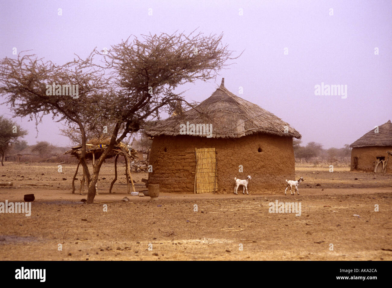 mud hut in Burkina Faso Stock Photo